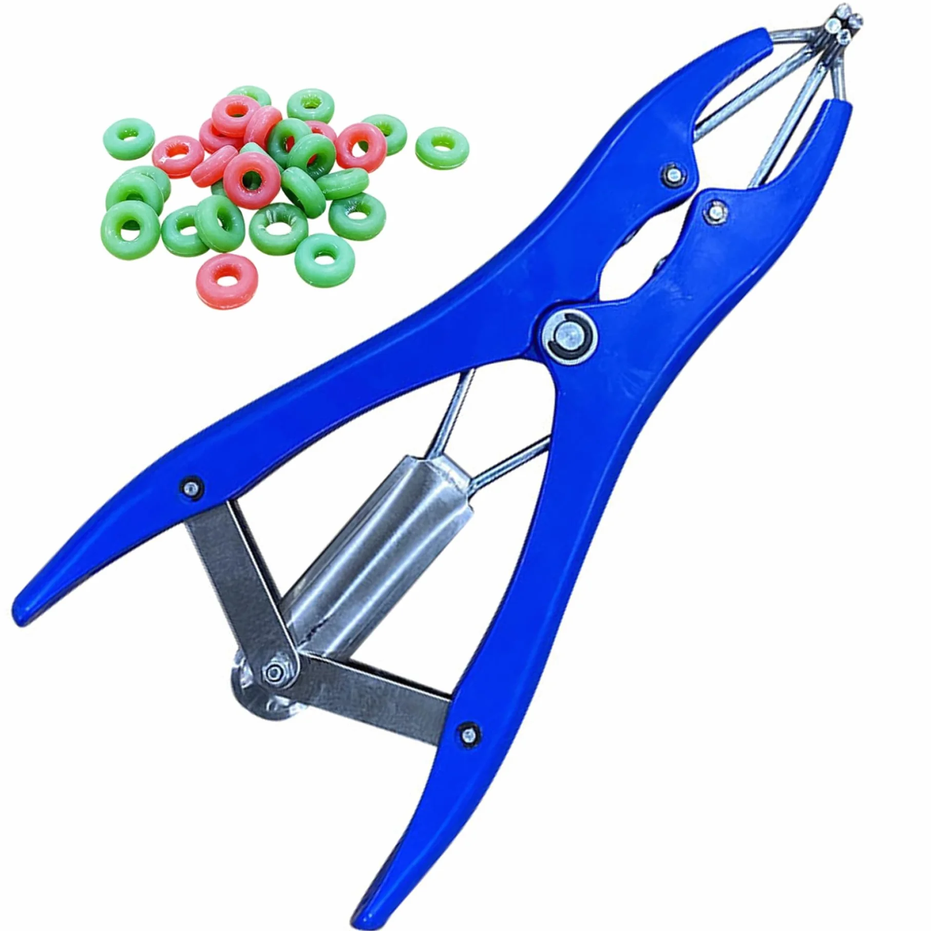 Strumento per castrazione, pinza elastica in plastica in acciaio inossidabile con 100 anelli gomma per suini, bovini, pecore, mucche