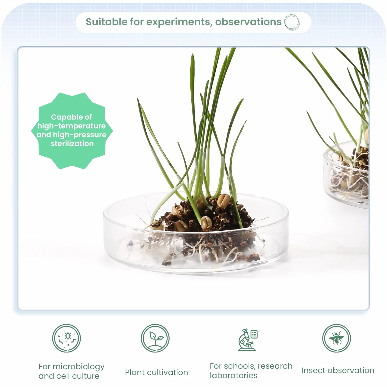 Huanyu 60mm Piastre Petri con coperchio 5 pezzi Piastra Petri in vetro ad alto contenuto di borosilicato Piastra per colture batteriche per muffe Laboratorio scolastico Esperimenti scientifici