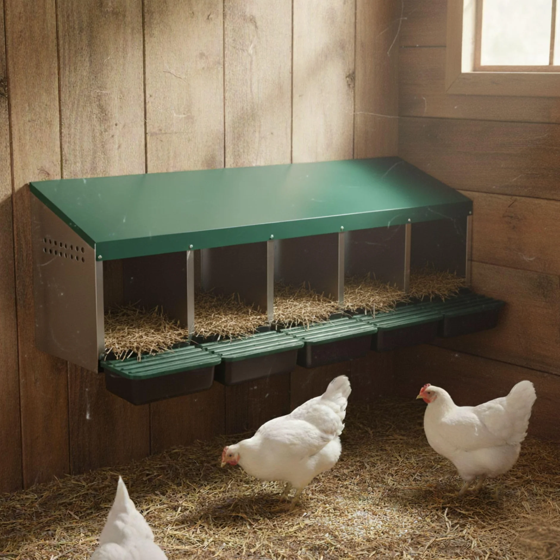 Agrarzone Nido per galline esterno in metallo 5 scomparto Raccolta uova esterna Resistente alle intemperie