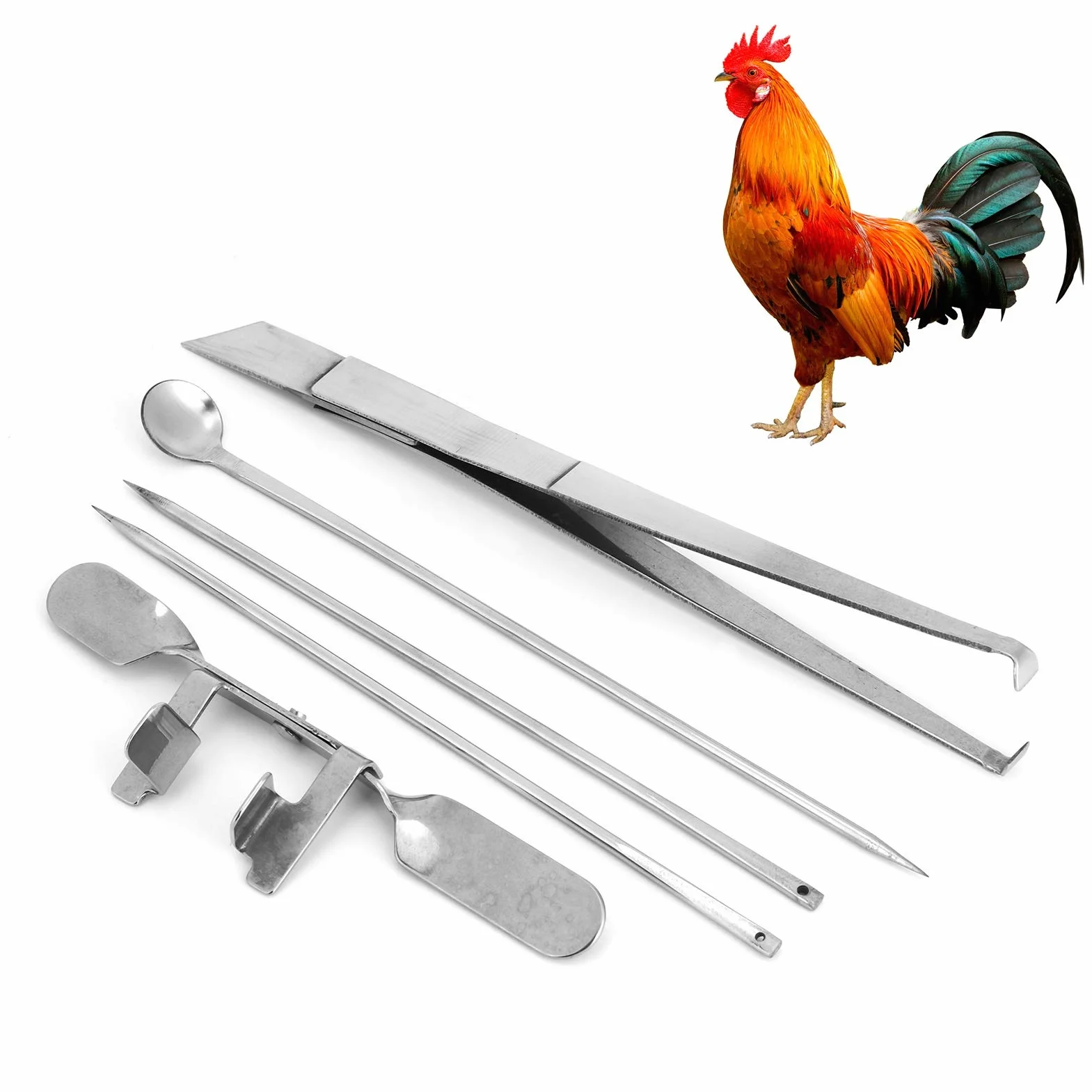 HEEPDD Strumento per Cappone in Acciaio Inossidabile, Strumento per Coltello per Cappone di Squisita Fattura, 5 Pezzi per Strumenti per Allevamenti di Pollame Strumento per Pollo di Castrazione