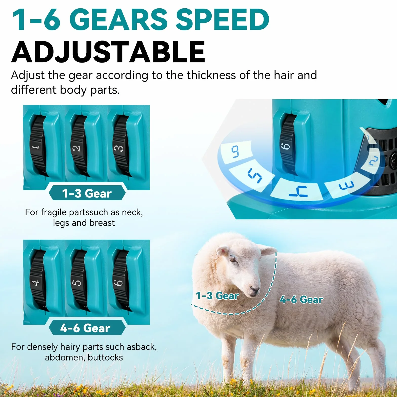 Yofidra Tosatrice elettrica per pecore 550W, Tosatrice a batteria con 6 velocità, Lama a 13 denti, 2 batterie da 3000 mAh, Tosatrice professionale per lana per pecore, capre e alpaca