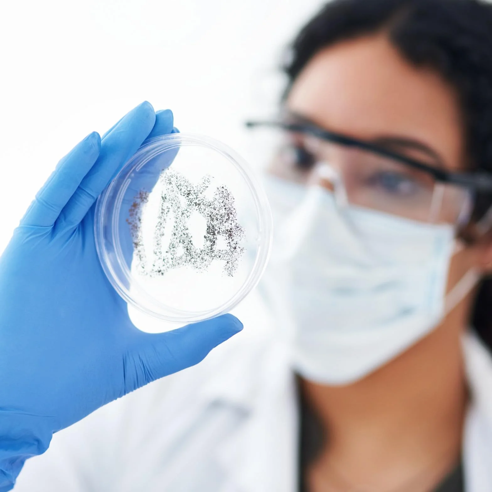 PATIKIL 150mm/5.9 Pollici Piastre Di Petri In Plastica Con Coperchio, 6 Pezzi Piastre Coltura Per Esperimenti Scientifici In Laboratorio, Trasparenti