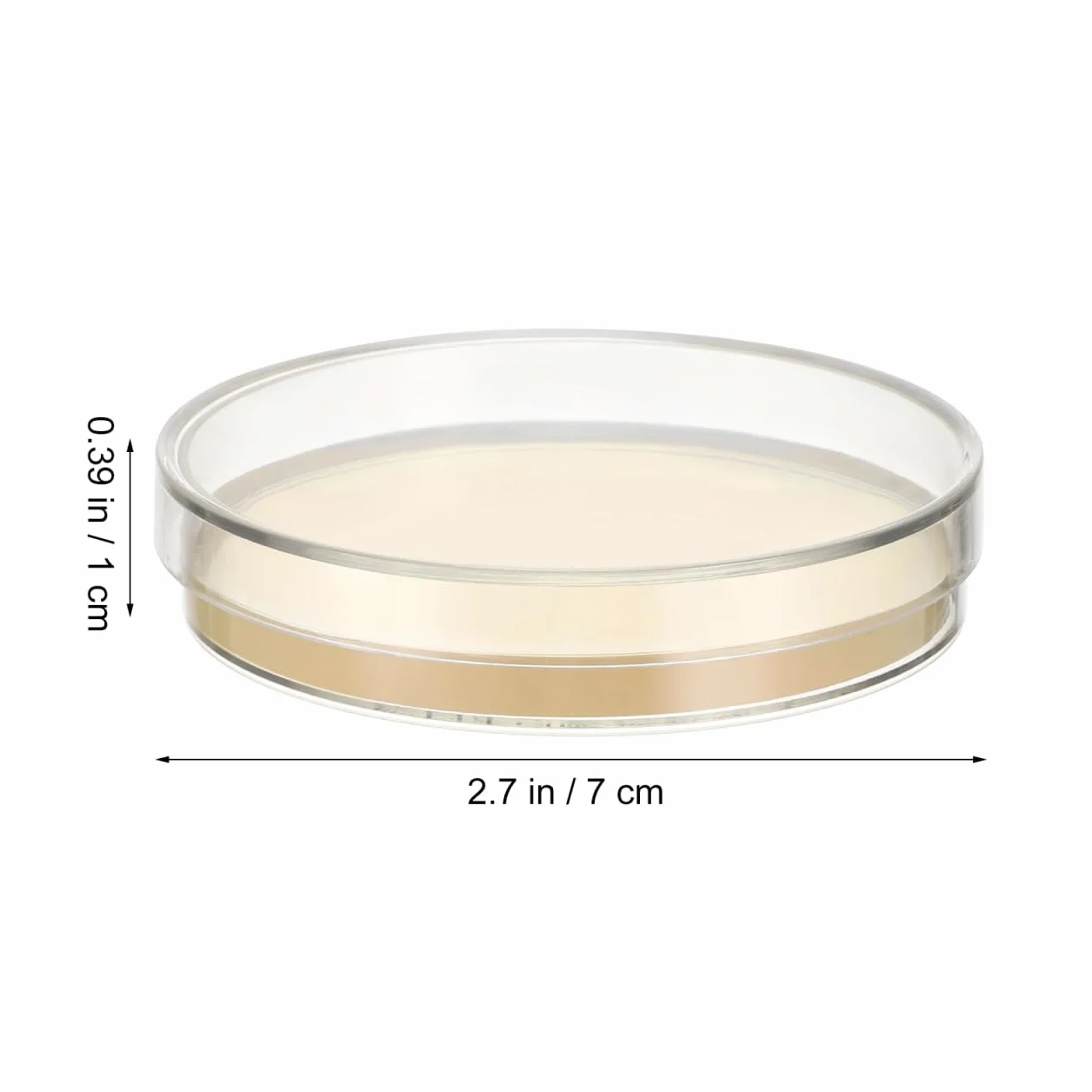 ULTECHNOVO 20 Piastre Di Petri Con Agar Preversato Per Esperimenti Scientifici Piastre Da Laboratorio 7X7Cm Ideali Per Scienze Stem E Progetti Didattici
