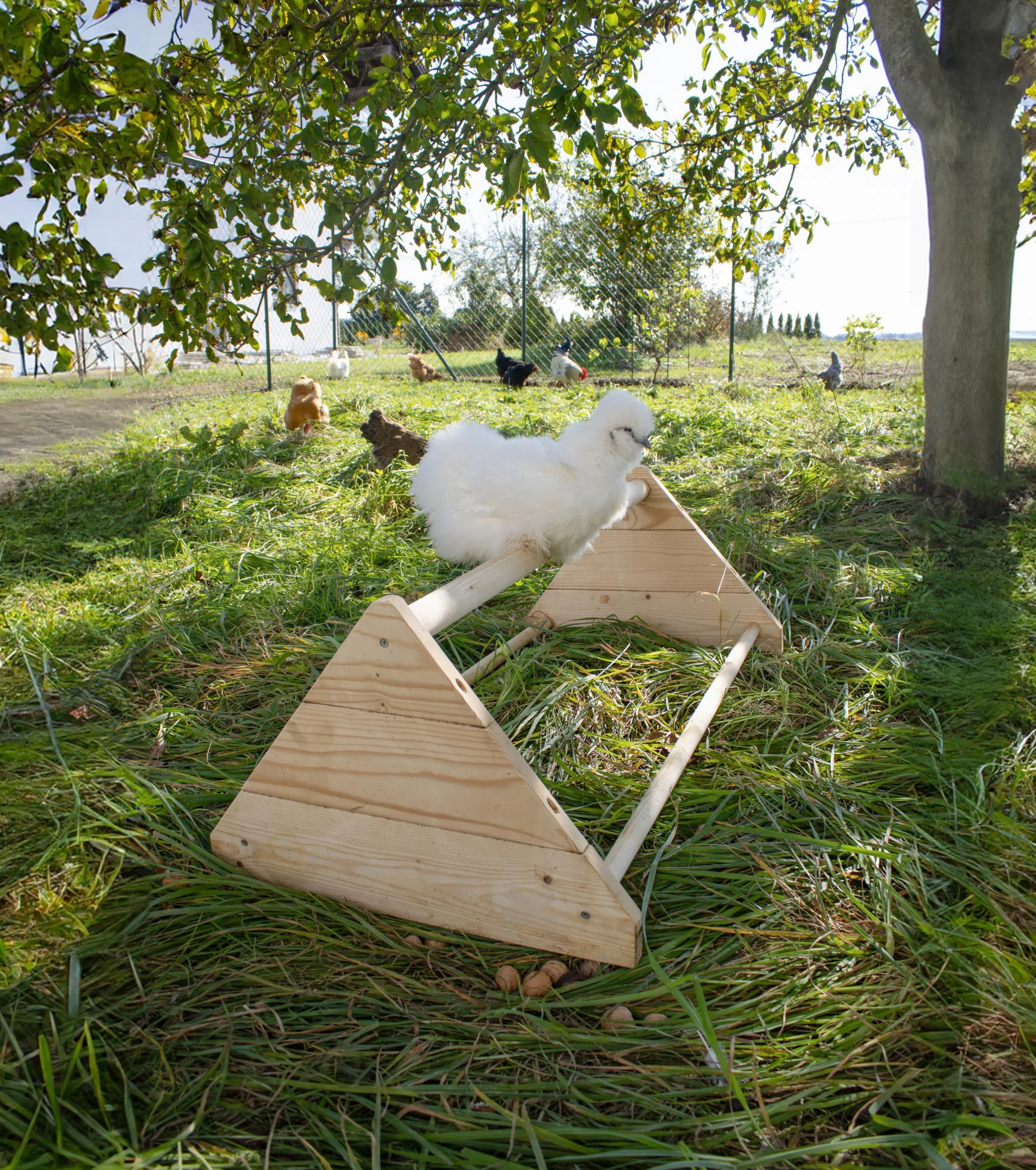 Kerbl Hobbyfarming Trespolo per polli 96x50x35cm Legno Rotondo