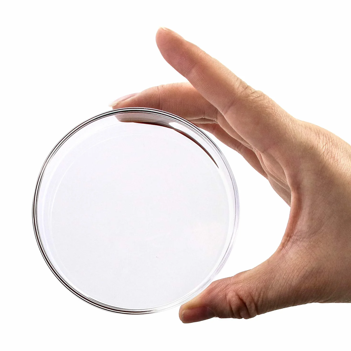 QWORK® Petri in Vetro con Coperchio, Sterile Capsula di Petri in Vetro Borosilicato per Coltura Batterica, 90mm x 20mm, 5 Pezzi