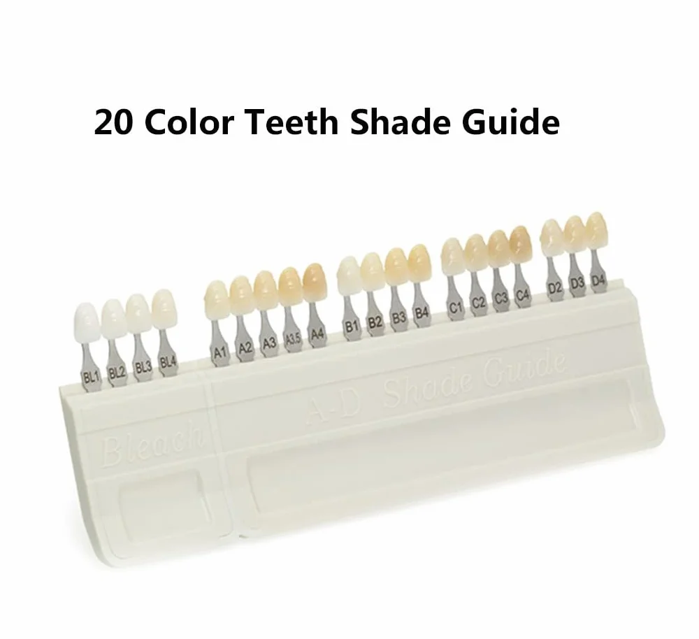 Porcelana AD Guida Colori Denti Dentali 20 Colori