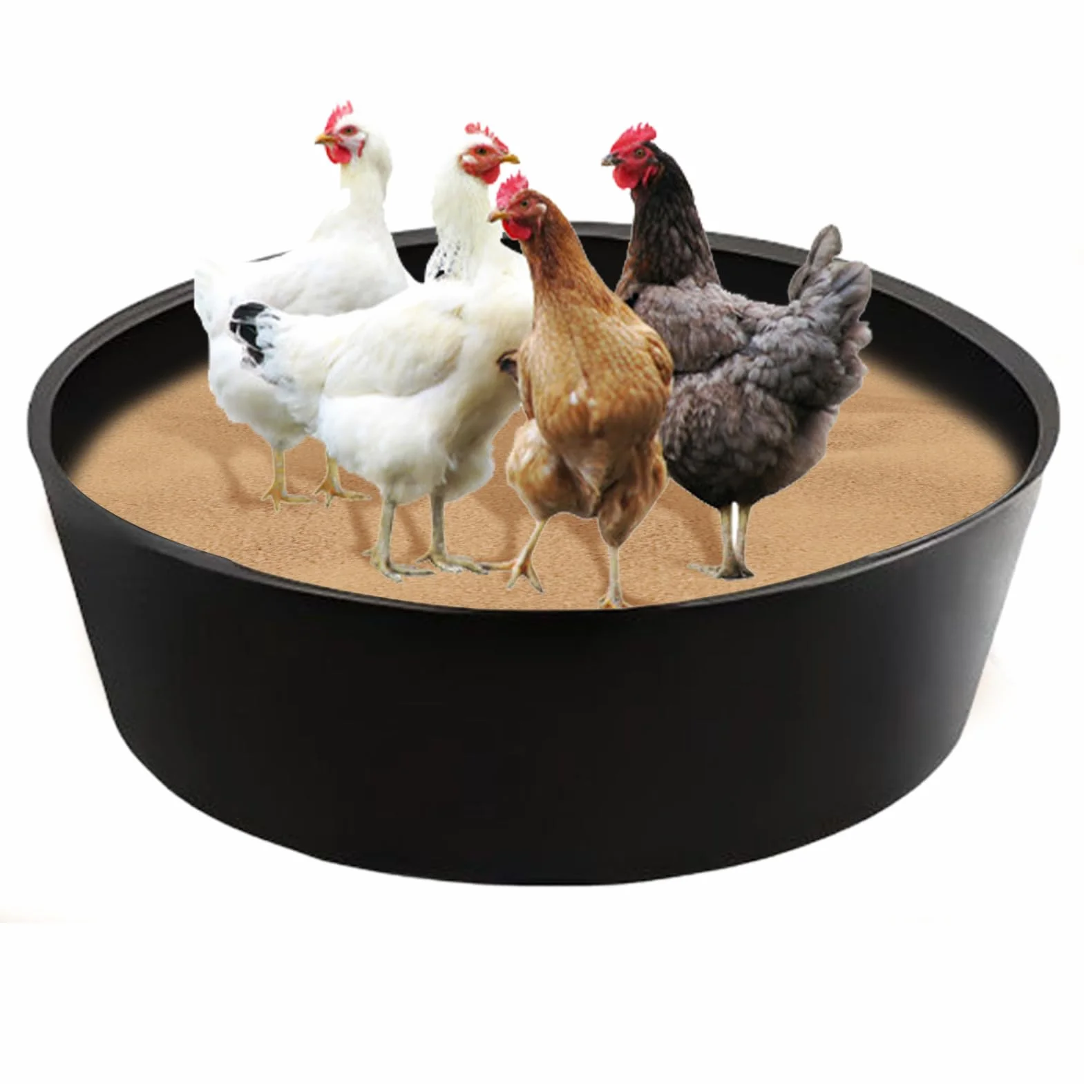 Bagno di Polvere per Galline Pollaio Regolabile 63Cm Pollame