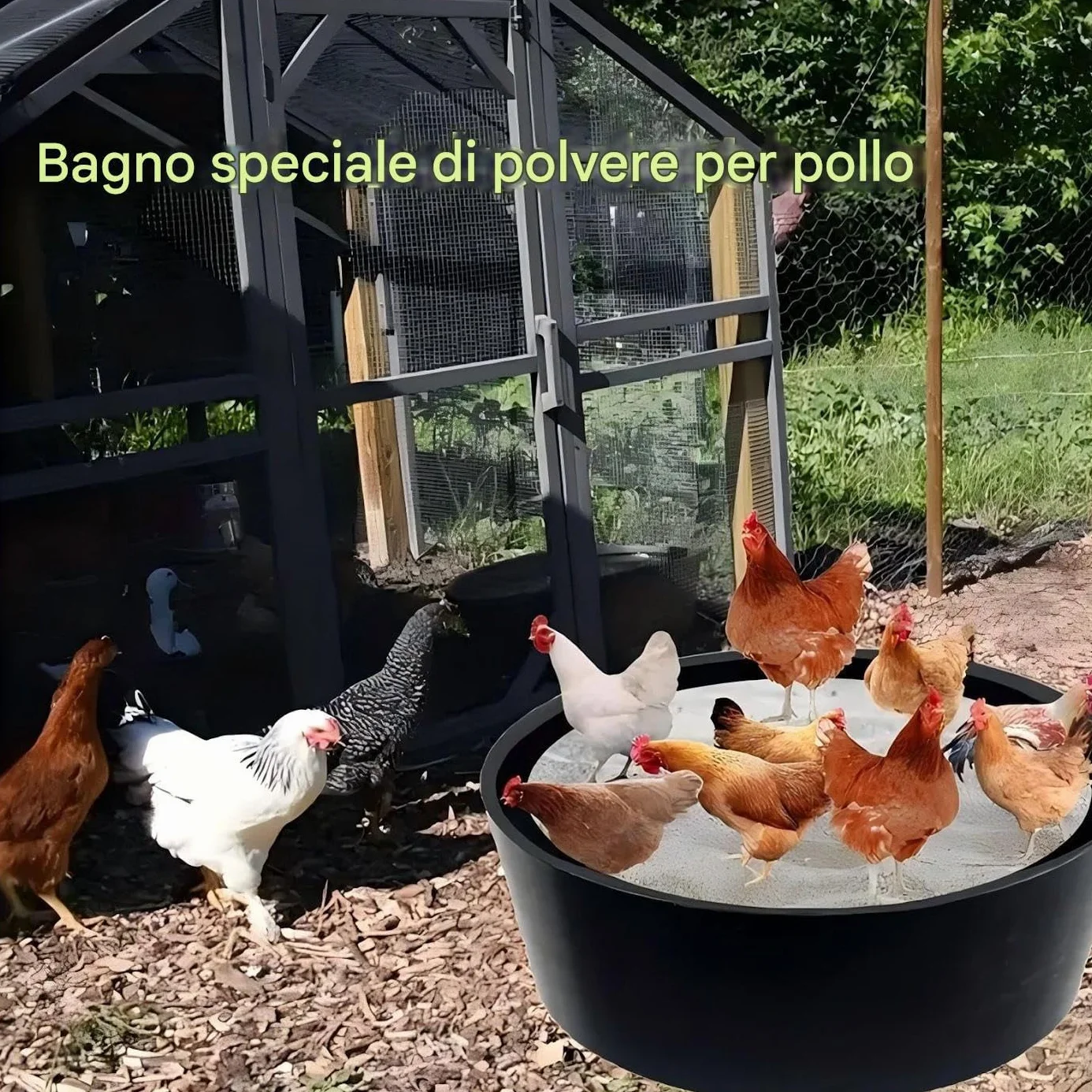 Bagno di Polvere per Galline Pollaio Regolabile 63Cm Pollame