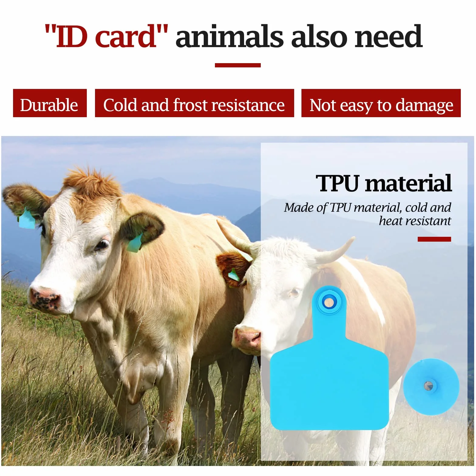 100 etichette auricolari vuote per bestiame 7,9 cm L x 2,6 cm W blu etichette per l'identificazione degli animali in TPU etichette per bestiame strumenti agricoli per mucche maiali pecore