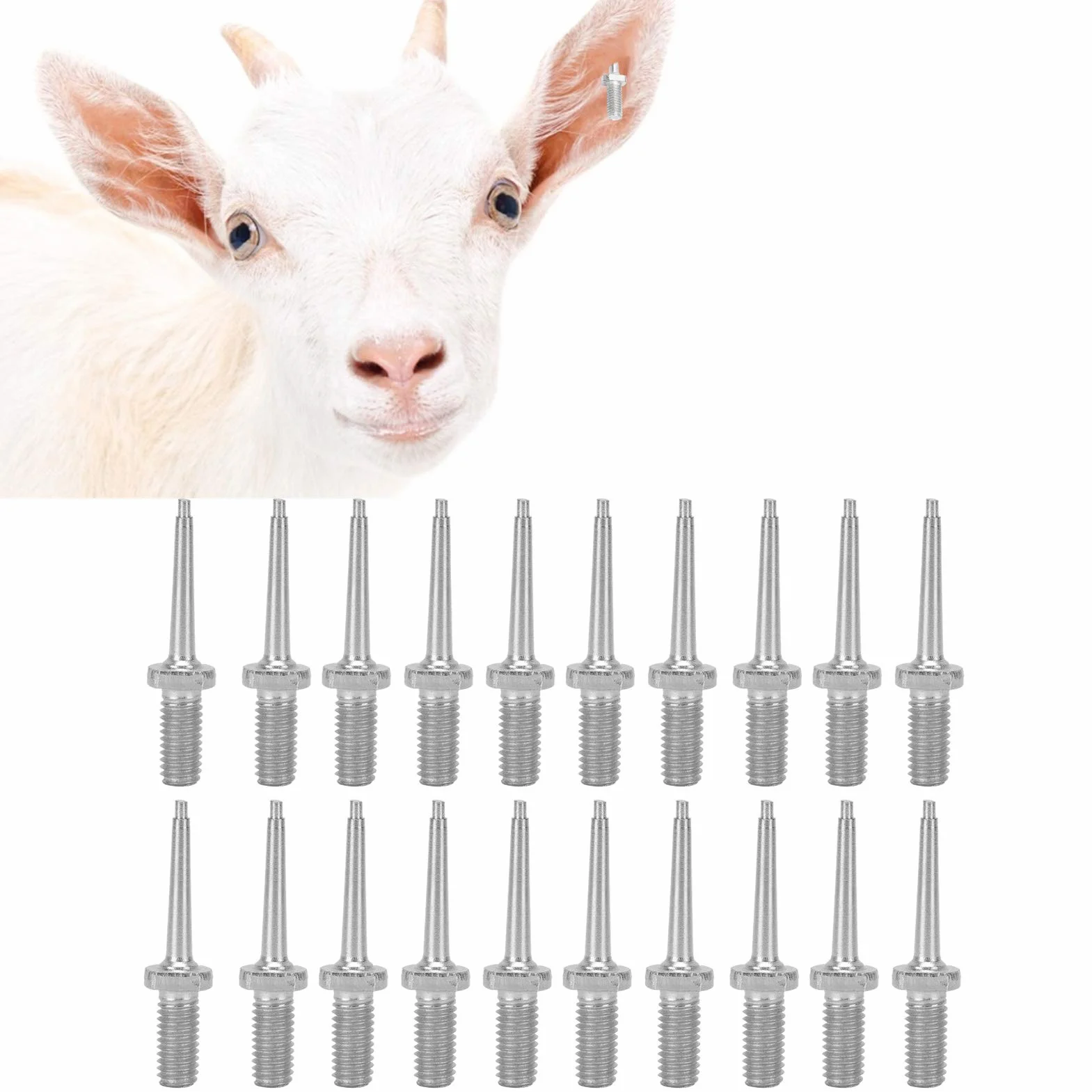 Voluxe Pin di Ricambio per pinze per Marchi Auricolari Animali, Perno per Marchio Auricolare per Bestiame, Perno per suini bovini Ovini per bovini(Stainless Steel Ear Tag Needle)