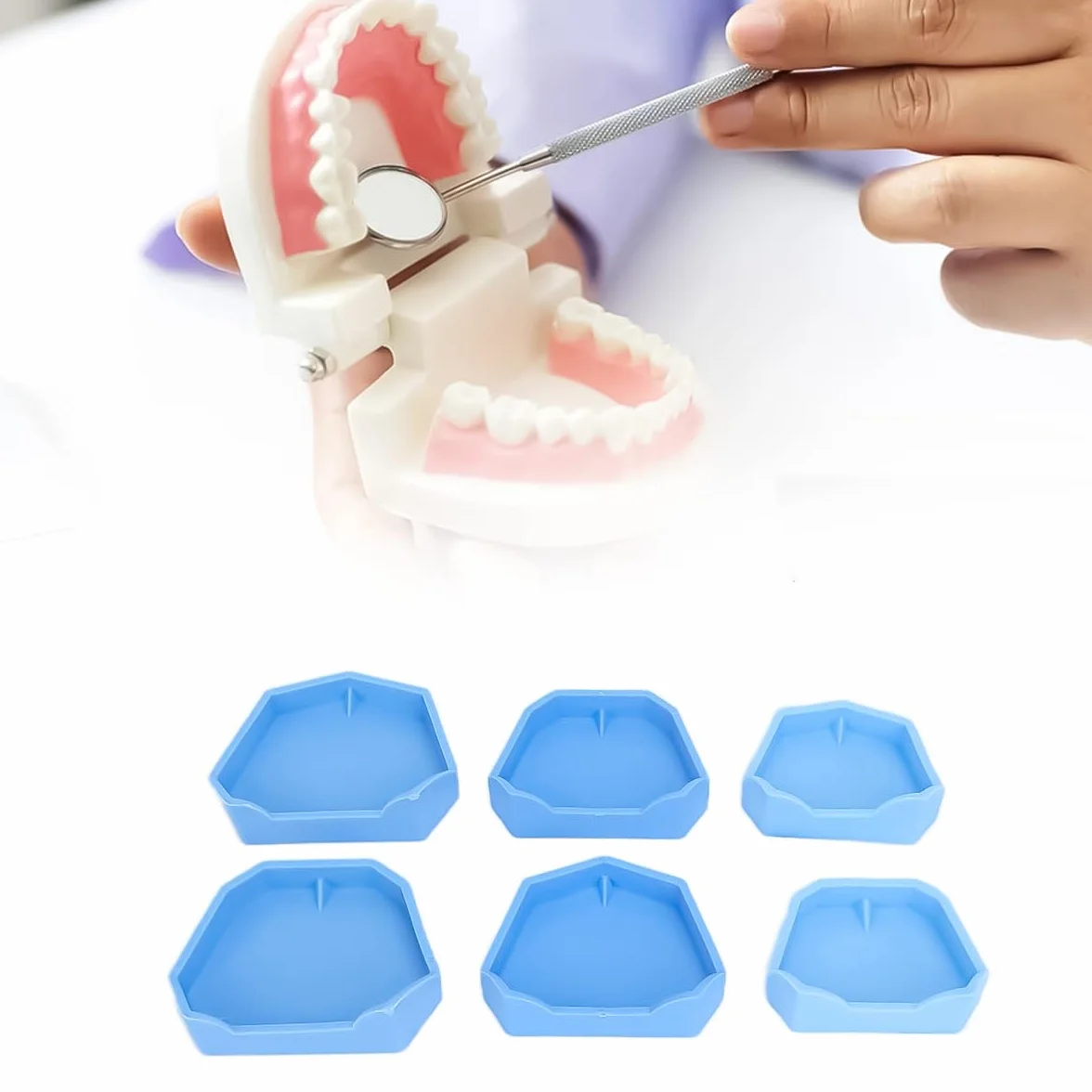 Base de yeso para modelo dental 6 piezas bandeja de moldes impresión dental
