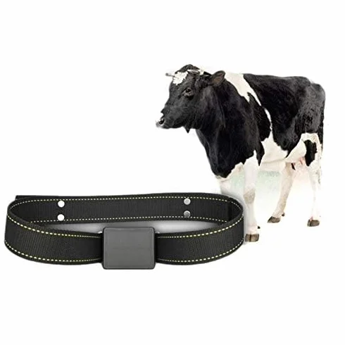 Collare GPS di localizzazione per bestiame e pecore, ricarica solare automatica, design impermeabile, monitoraggio sempre e ovunque – Dispositivo antifurto dedicato al ranch