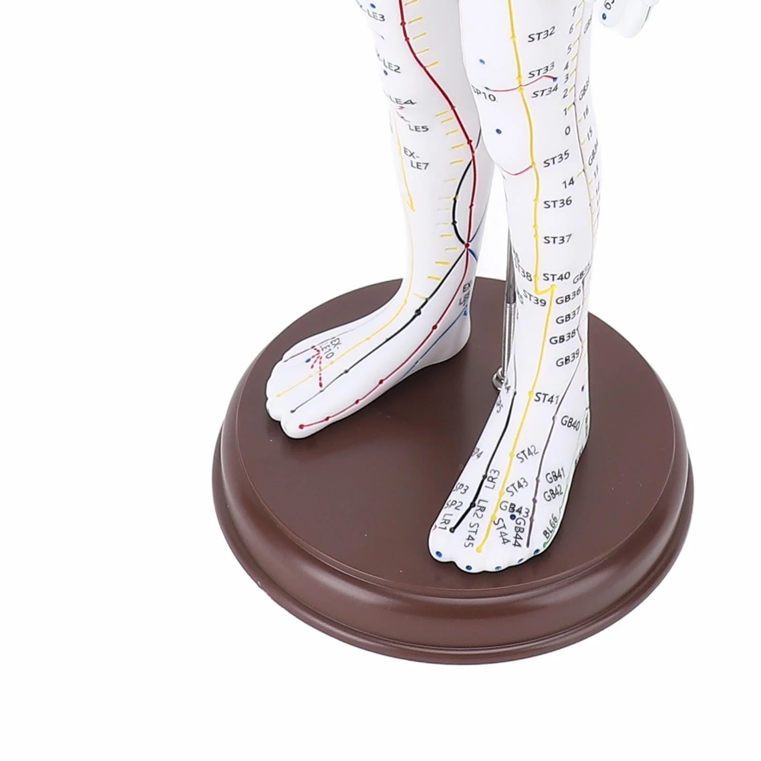 Modello di Agopuntura del Corpo Umano Alta Definizione per Insegnamento