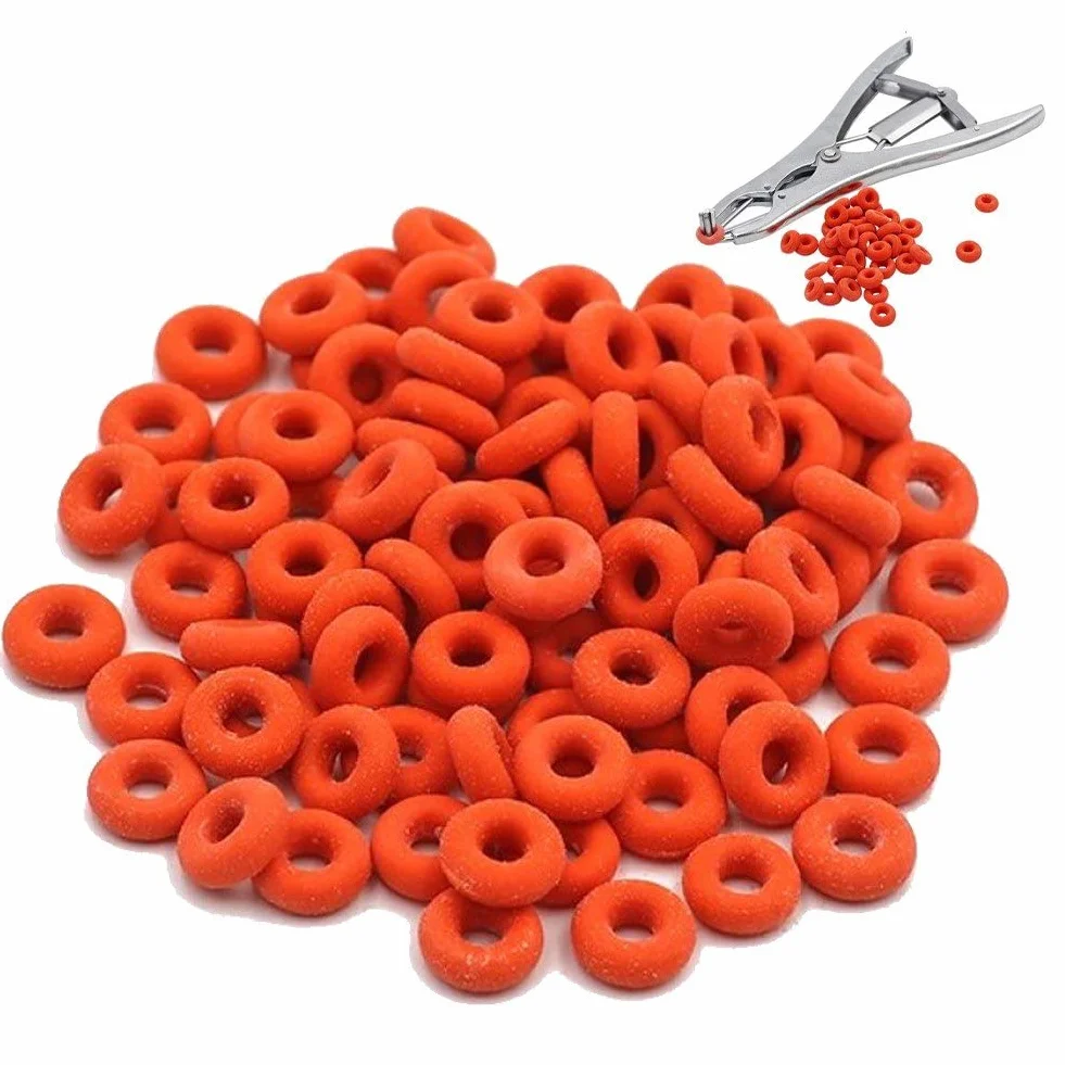 Pinza per castrazione Anello 100 pezzi Anello di gomma per coda di taglio cerchio elastico per castrazione per ovini bovini da fattoria