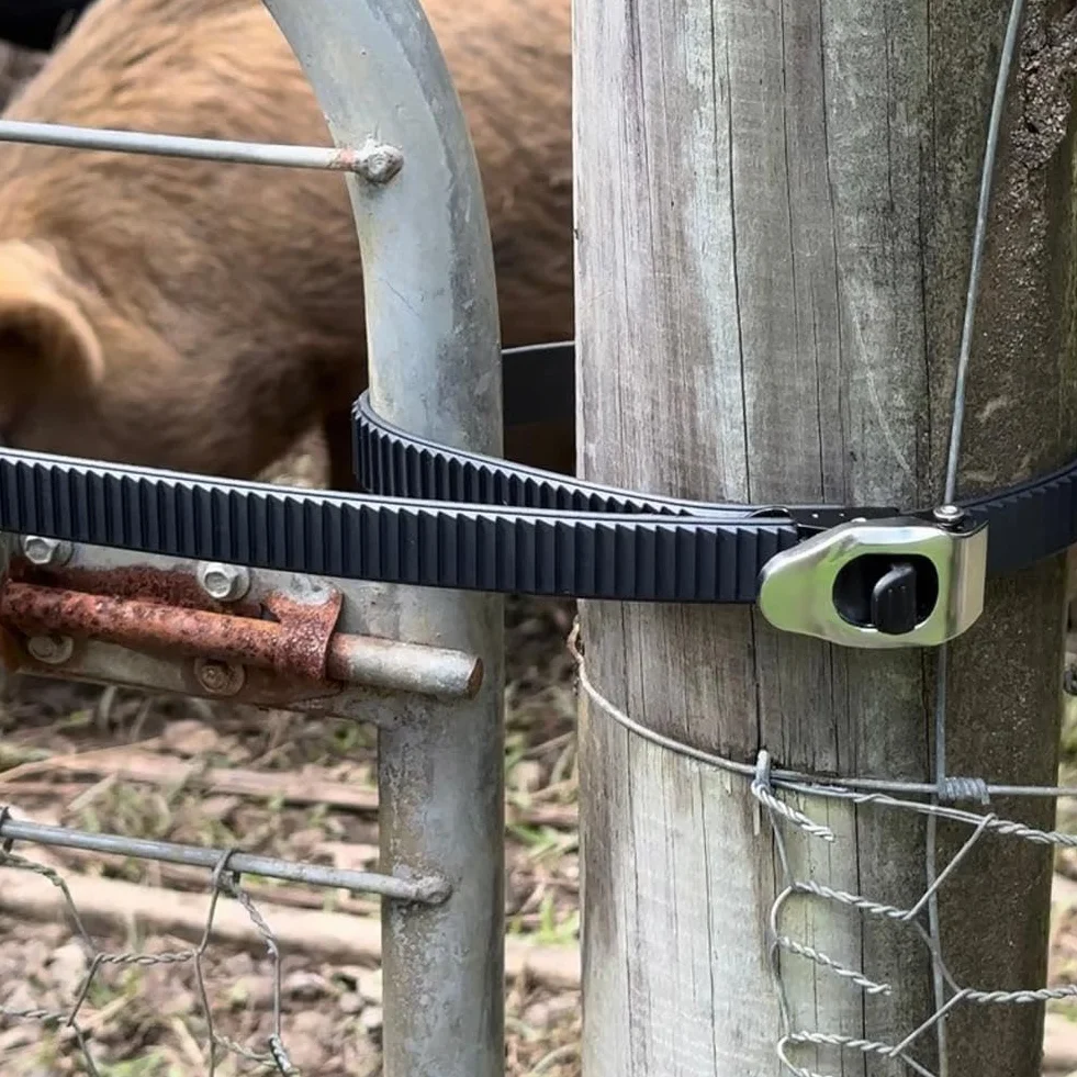 Cinghia di Bloccaggio a Grip Resistente, Cinghia a Cricchetto Regolabile Multiuso, Cinghia di Fissaggio a Cricchetto Riutilizzabile con Fibbia in Metallo per Sicurezza di Qualsiasi Oggetto, Uso
