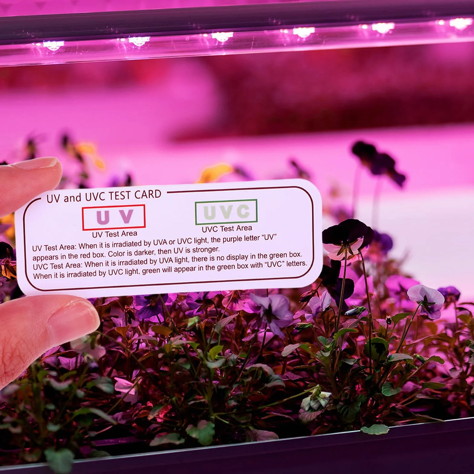 POPETPOP Schede di Uvc-uva Riutilizzabili 6 Pezzi, Misuratore UV per Rettili, Strumenti di Test UV e Uvc Compatti per Terrari e Verifica Intensità Raggi Ultravioletti