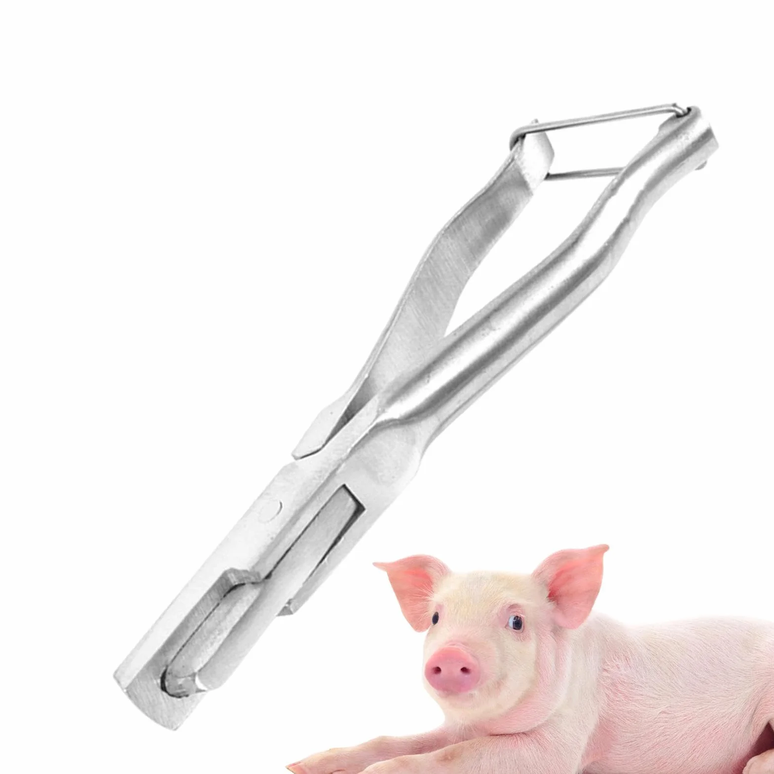 Pinze per marchi auricolari per animali, pinze per marchi auricolari in acciaio inossidabile | Pinza per marcatura agricola suina per marcatura suina - Pinza con impugnatura ergonomica Animal Instrume