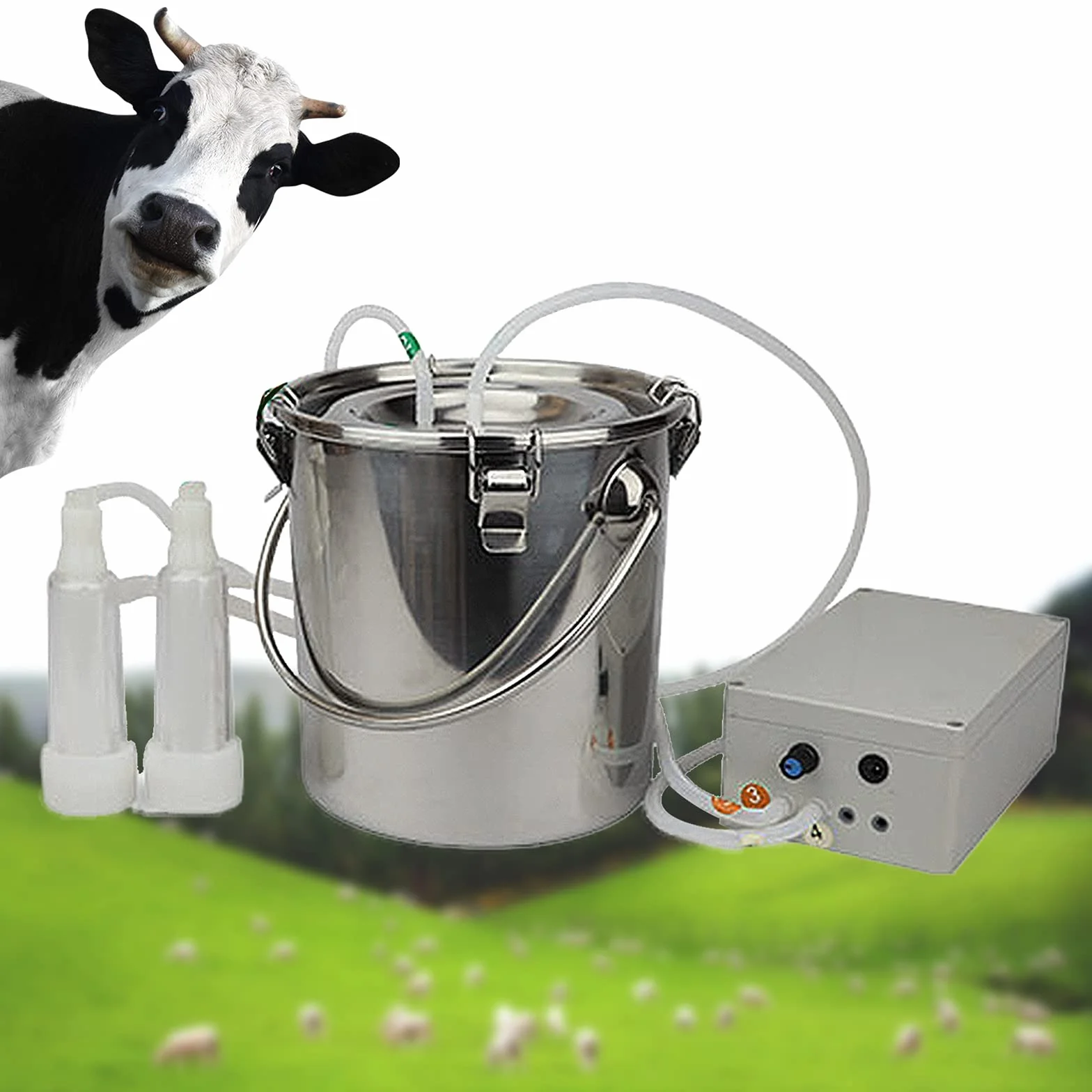 Mungitrice per Capre 5L in Acciaio Inossidabile, Mungitrice per Capre e Pecore con Pompa di Aspirazione a Pulsazione a Vuoto Adatta, Portatile Kit per Mungitura di Mucche da Pecora
