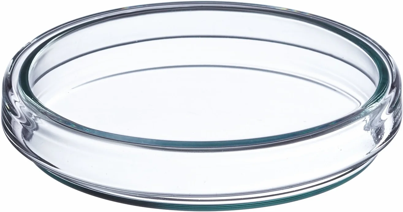 neoLab Anumbra - Set di 5 ciotole in vetro borosilicato, diametro: 80 mm, altezza: 15 mm