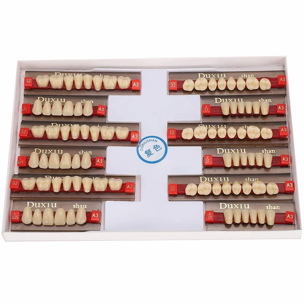 Denti in Resina Sintetica Acrilica per Protesi Dentale, Modelli Dentali, Forniture per Dentisti