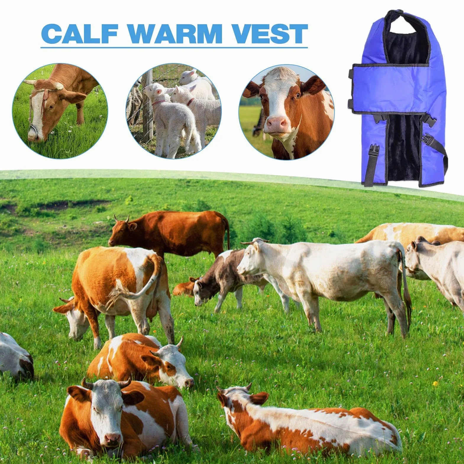 Coperta per vitelli, coperta per capra, coperta per polpaccio, coperta per polpacci, calda e antivento, per mantenere al caldo, protezione addominale, antivento