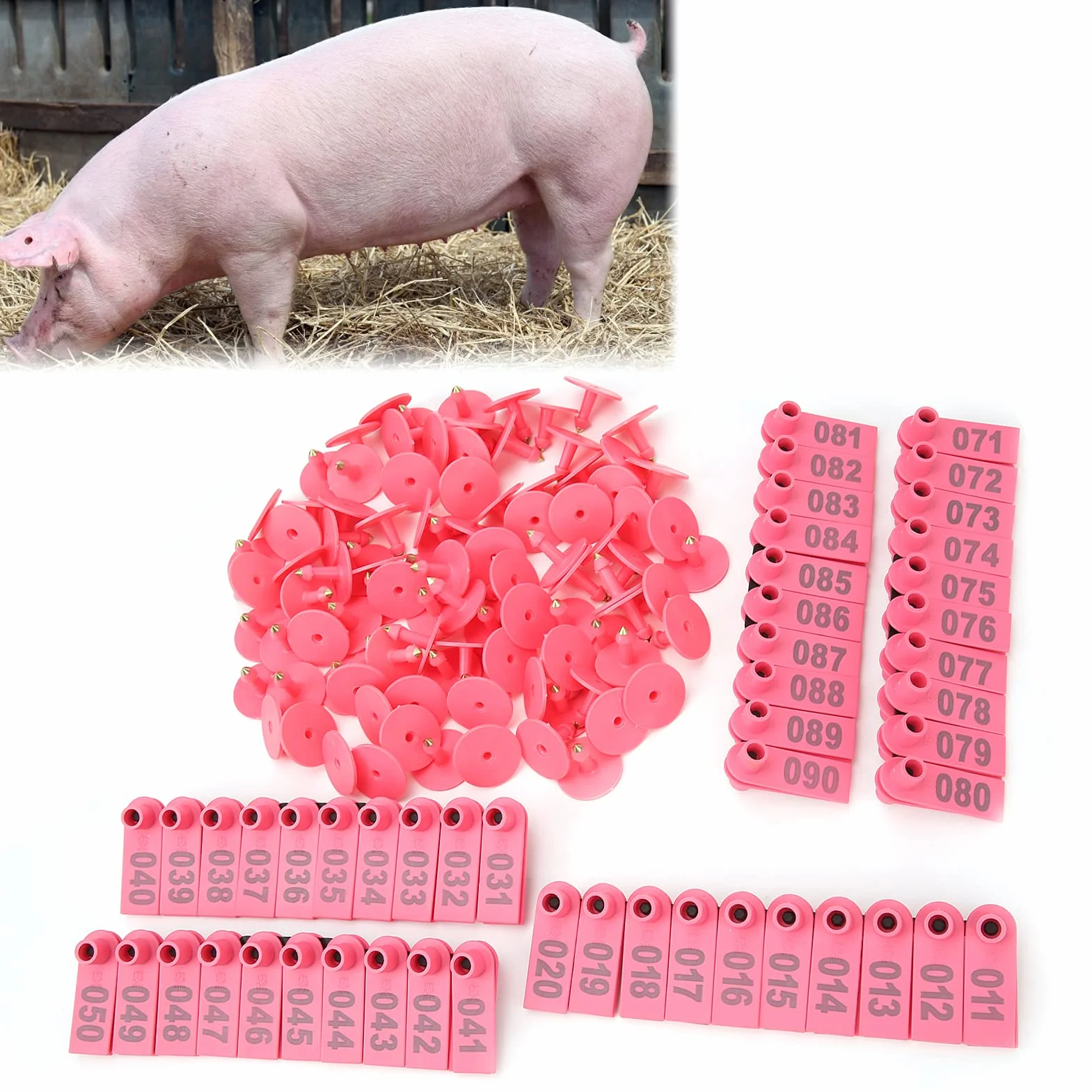 100 Pezzi di Marchi Auricolari per Animali da Fattoria in Plastica per Orecchini di Plastica per Capre Pecore Bovini Mucche Maiali[Rosa] Accessori per il trasporto di animali da allevamento