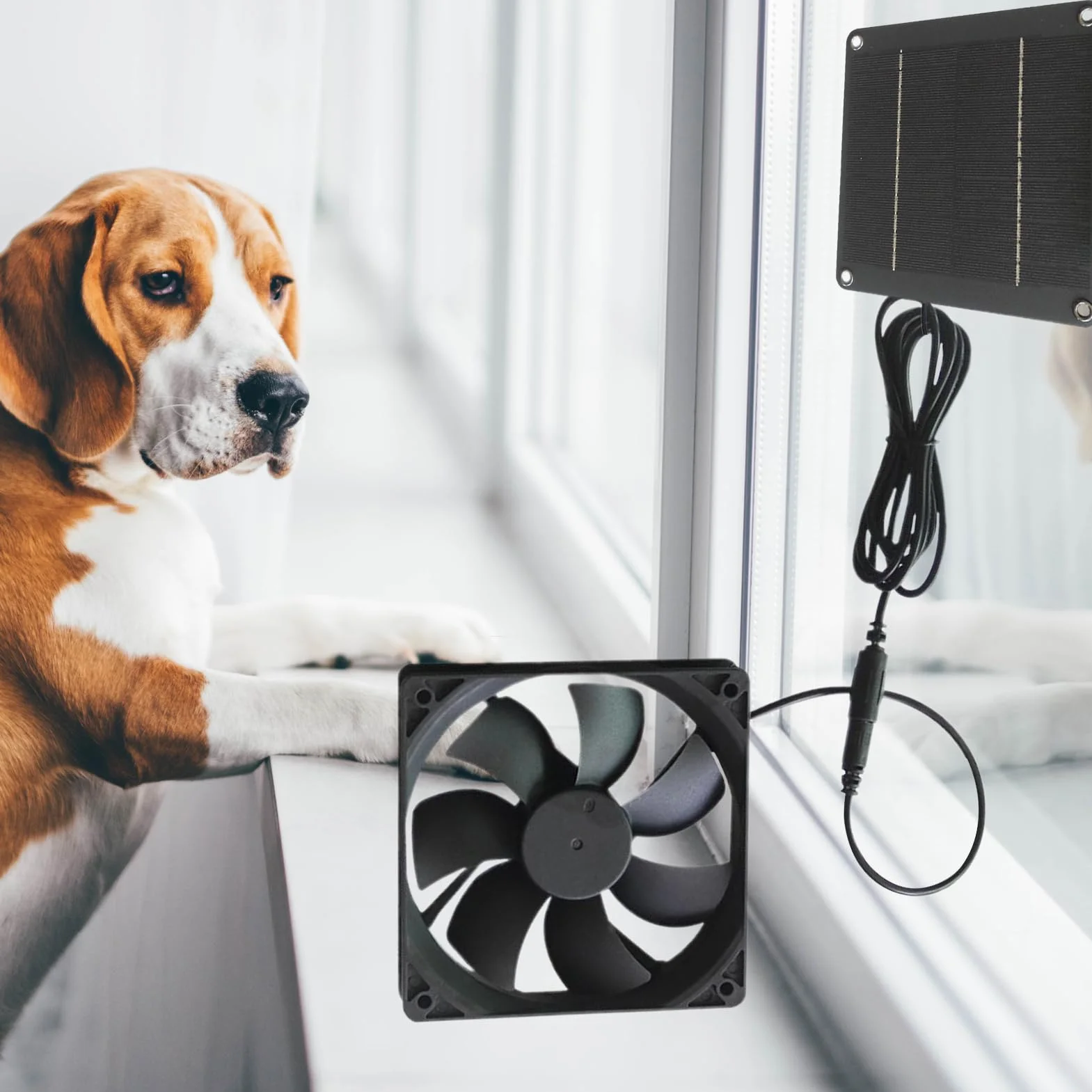 Ventola di raffreddamento solare 20W per canili, padiglione, ventilazione tetto