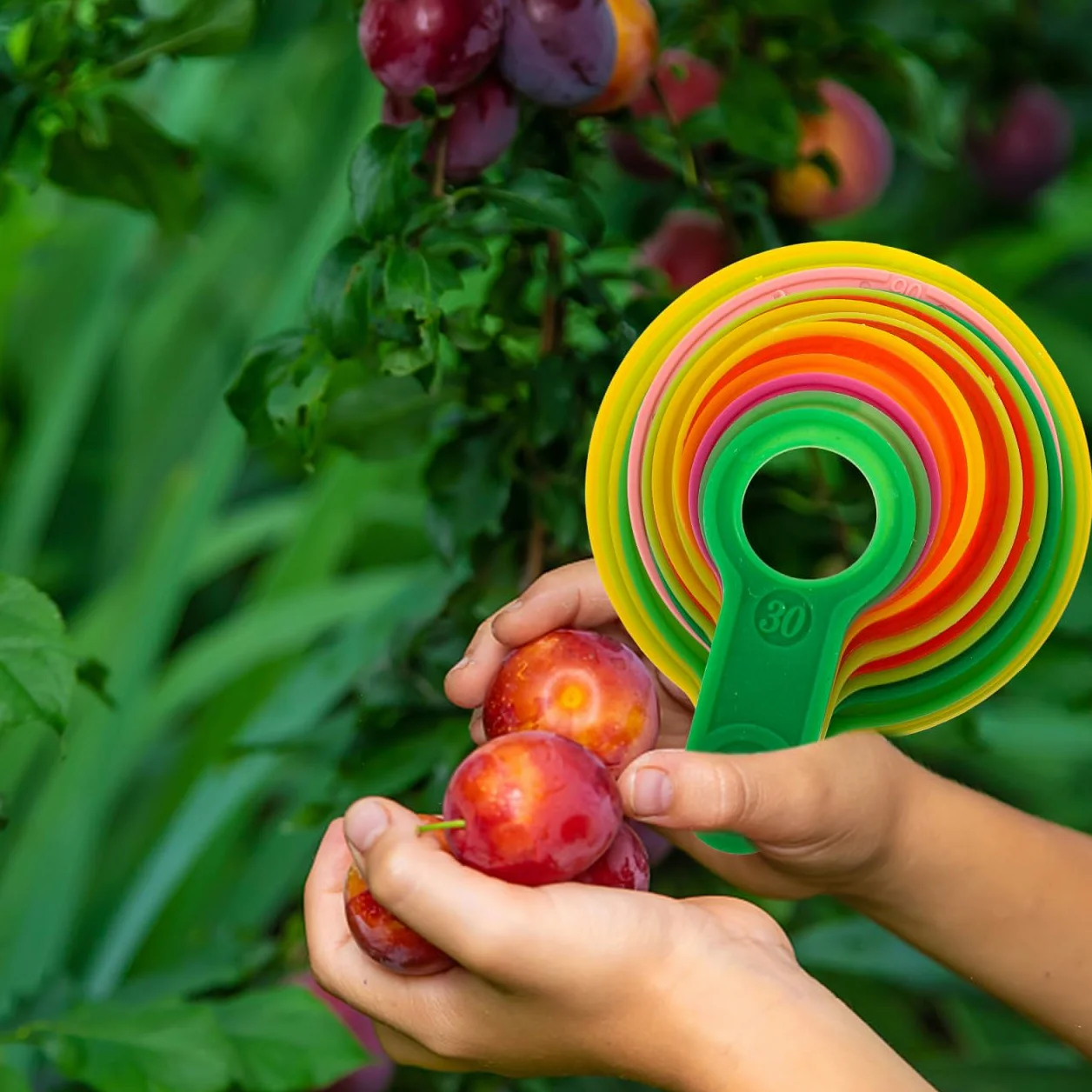 Misuratore Di Diametro Per Calibro Di Misurazione Anello Agrumi Plastica Arancione