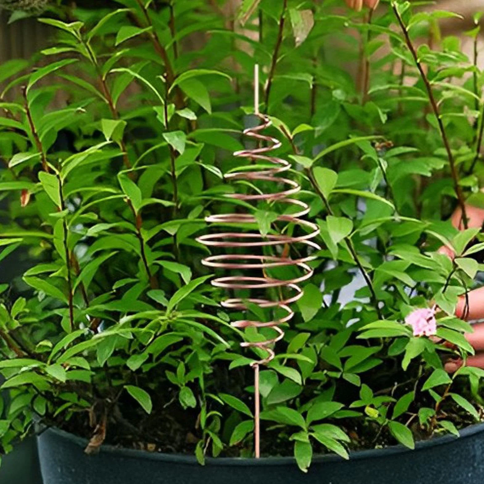 Attrezzo Per Avvolgimento Bobine Filo Rame - Stampo Per Filo Di Rame Da Elettrocoltura,Forma A Per Pali Piante Per Uso In Giardinaggio Interno, Giardino, Fiori, Vasi, Ed Esterno
