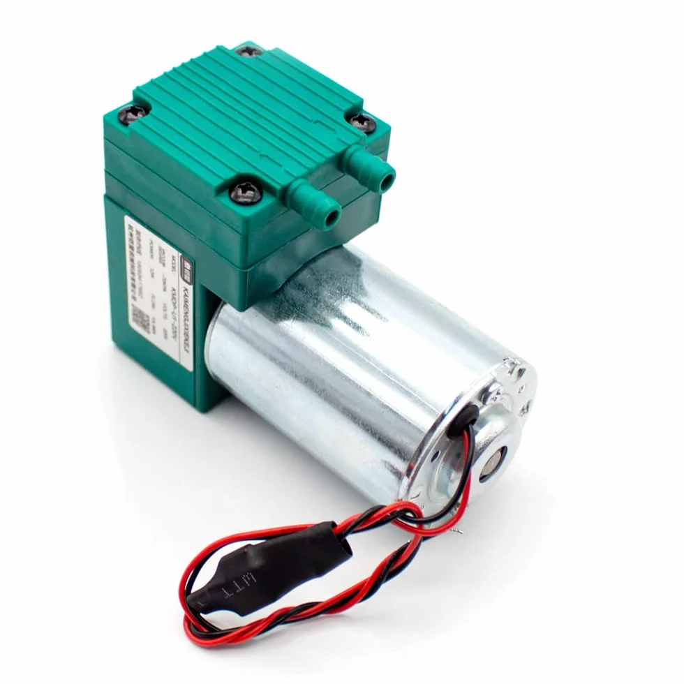 Toplionace Mini Pompa per Vuoto 12V/24V/220V, Pompa ad Aria per Pompa a Membrana per Pompa Aspirante per Vuoto Piccola 12W, 10L/min (220V)