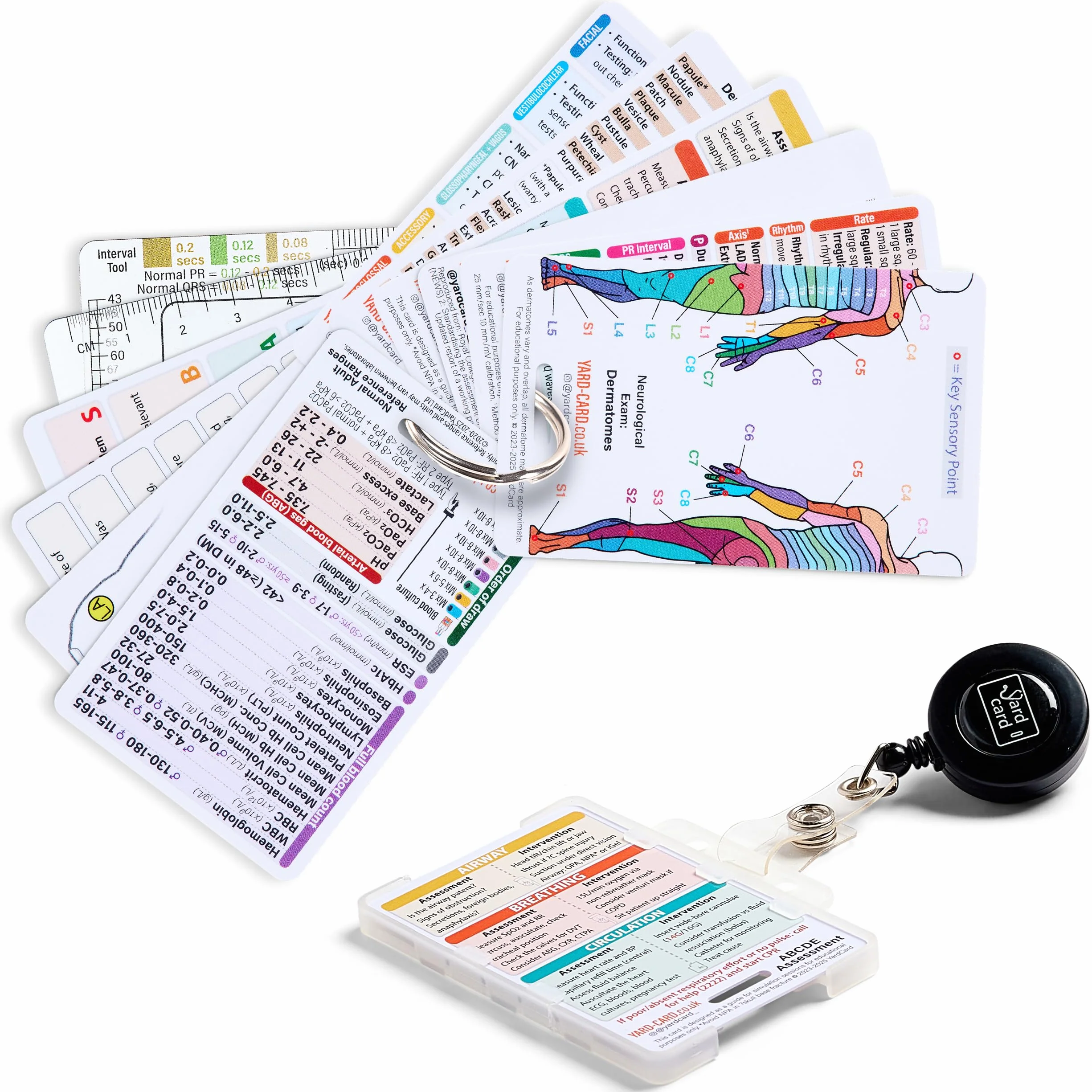 YardCard Set di 12 Carte Essenziali per Cravatta (Dimensione Tessera ID) con Supporto e Bobina Retrattile per Infermieri, Studenti Infermieri, Medici, Paramedici, Studenti di Medicina