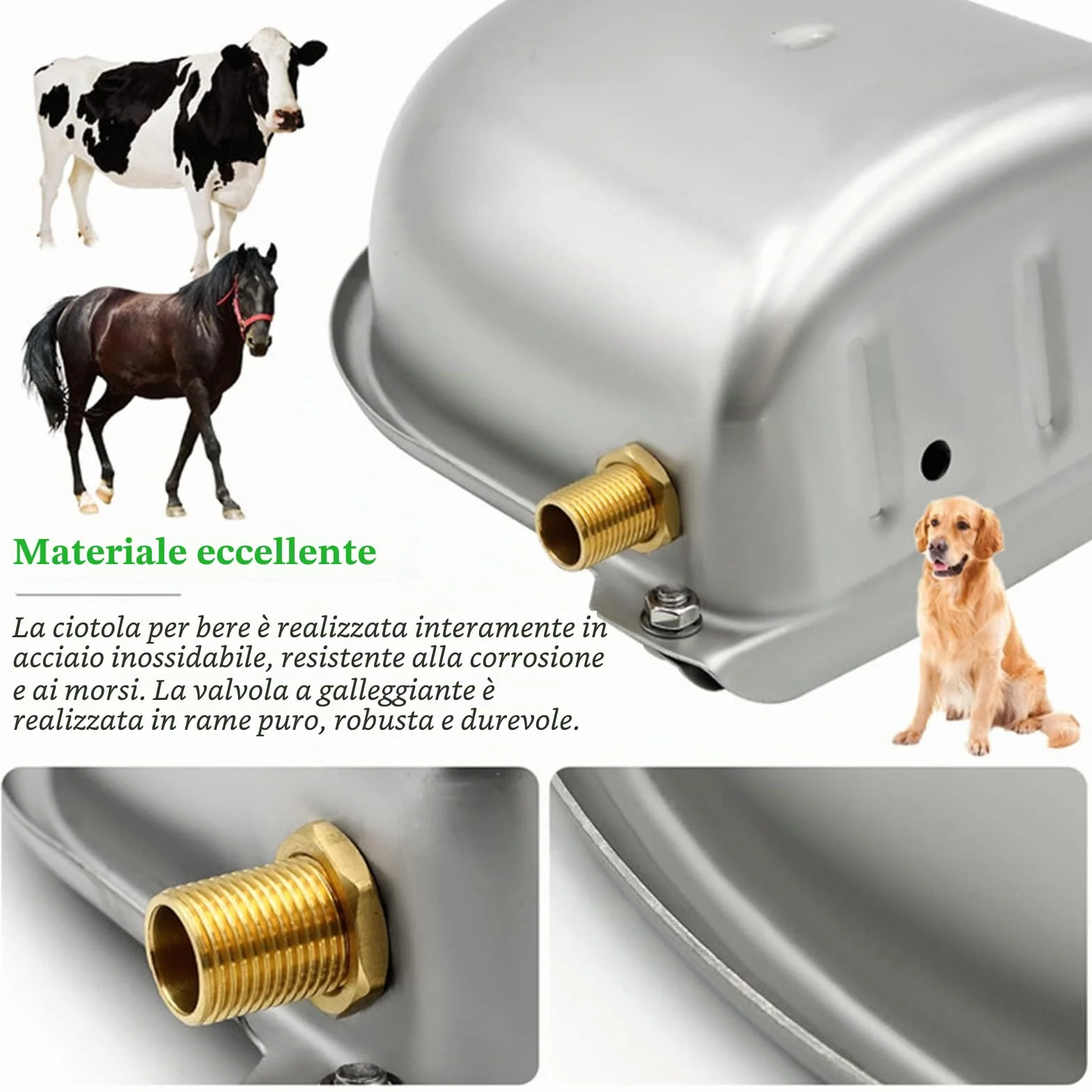 Abbeveratoio automatico in acciaio inox con valvola galleggiante per cani, cavalli, capre, pecore