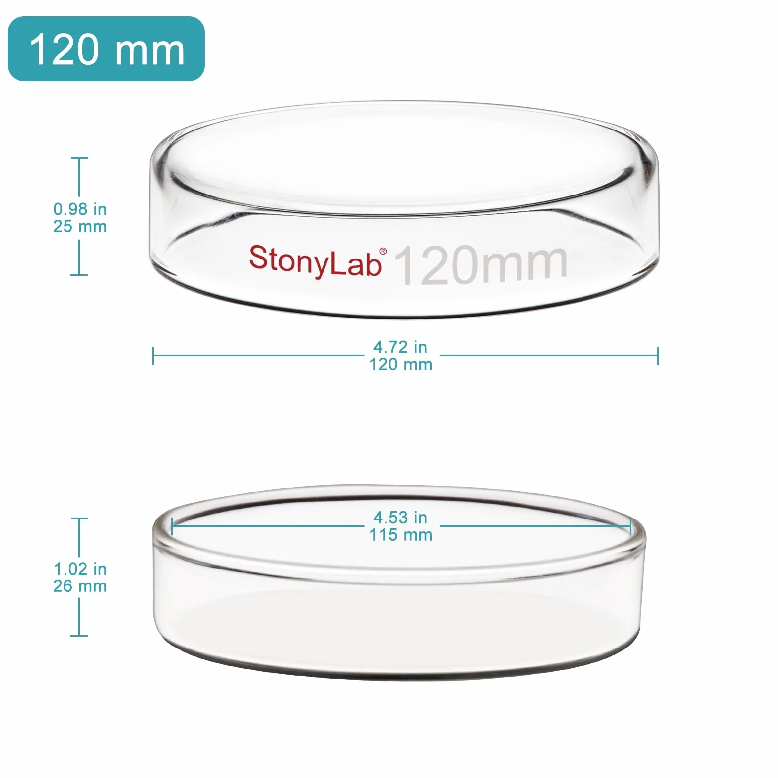 stonylab Piastra di Petri in Vetro con Coperchio, Confezione da 5 Vetro Borosilicato Piatto per Colture Cellulari Piastra di Petri Autoclavabile Trasparente per Laboratorio, 120x25 mm