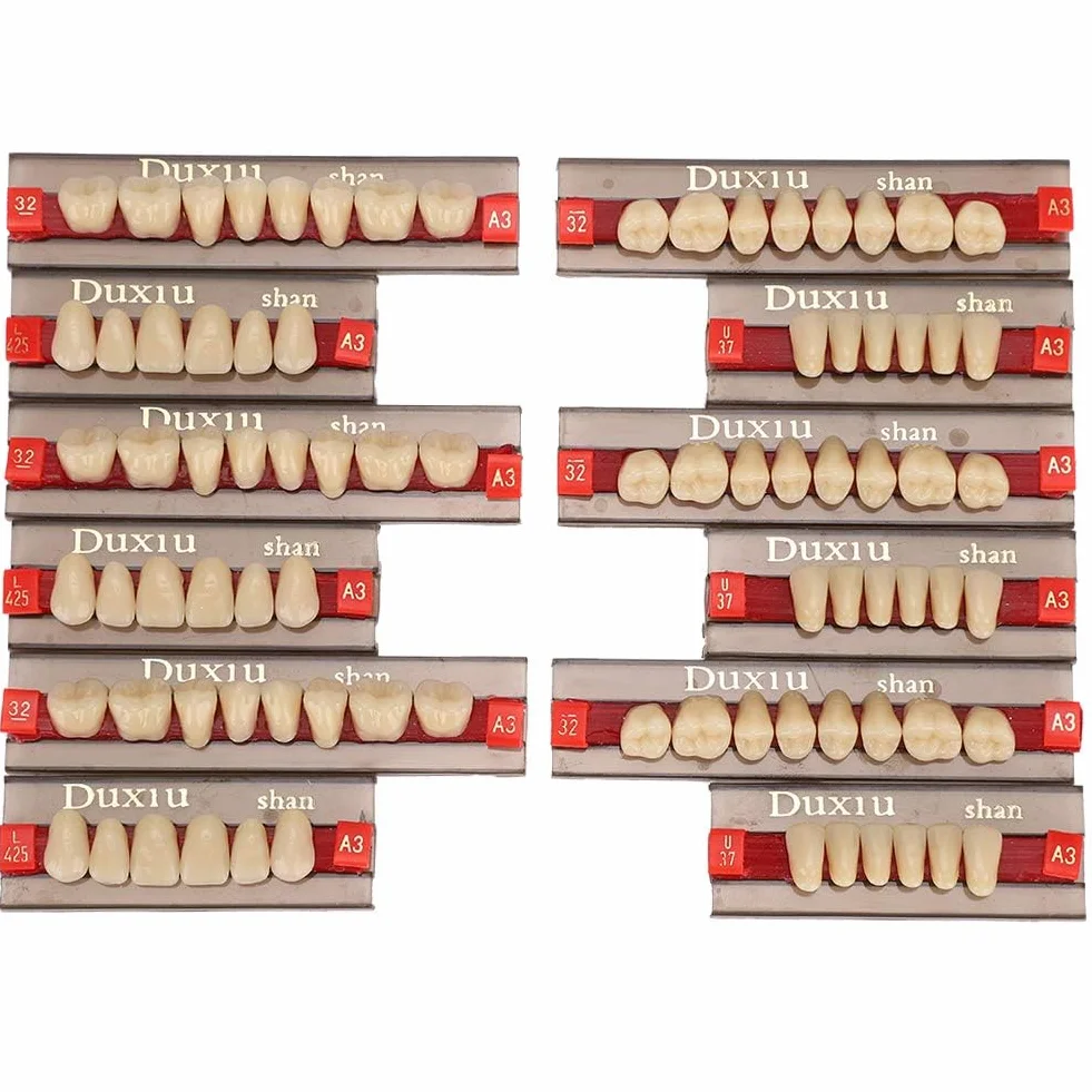 Denti in Resina Sintetica Acrilica per Protesi Dentale, Modelli Dentali, Forniture per Dentisti