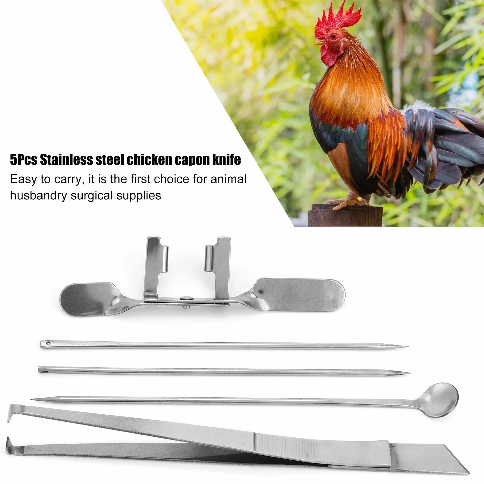 Pssopp Kit in Acciaio Inossidabile per Cappone da 5 Pezzi per Allevamenti di Pollame, Strumenti Affidabili per Castrazione di Pollo, Attrezzatura Chirurgica Facile da Usare e Durevole per la