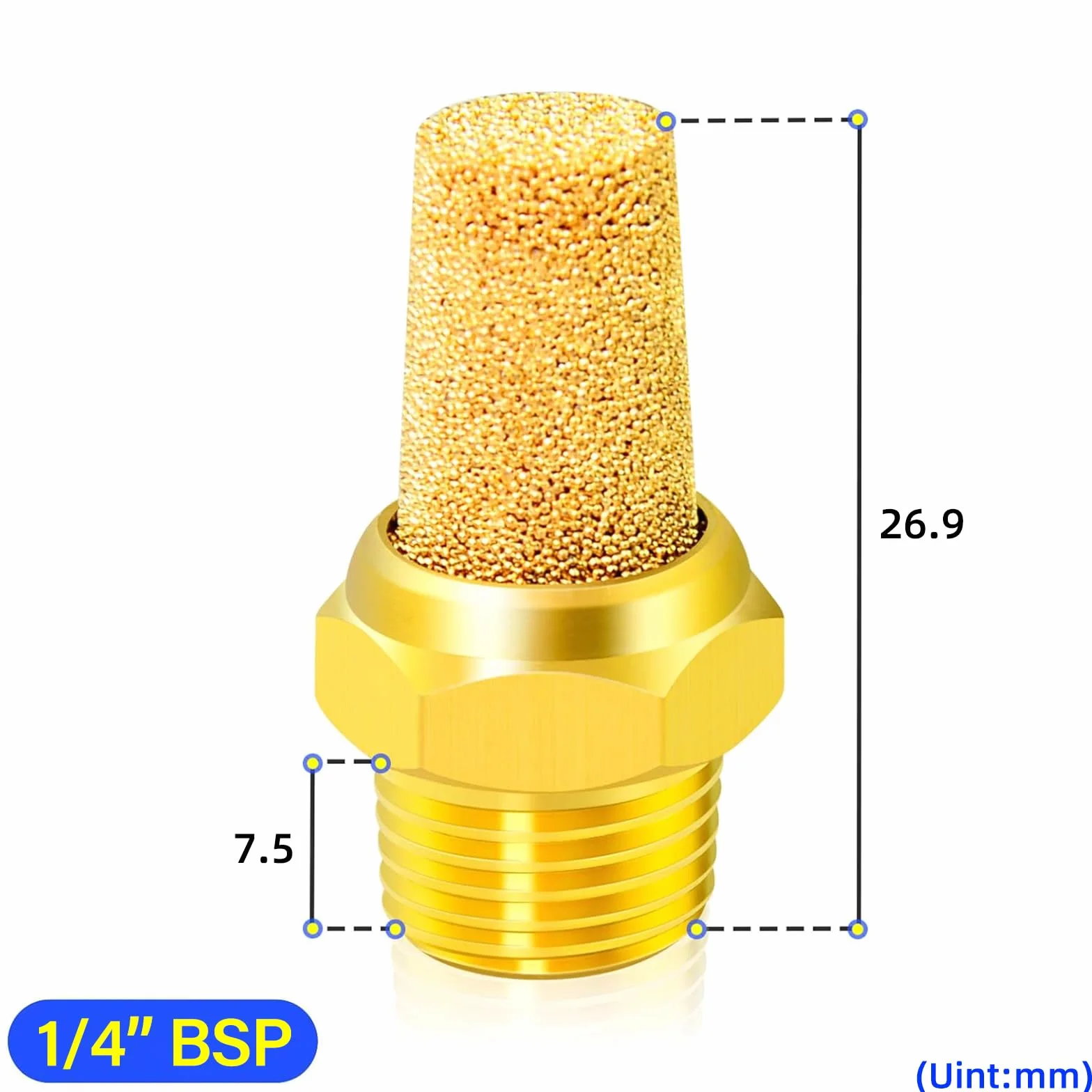 TAILONZ PNEUMATIC Silenziatore di in bronzo sinterizzato 1/4 pollice BSP Corpo in ottone sporgente confezione da 10