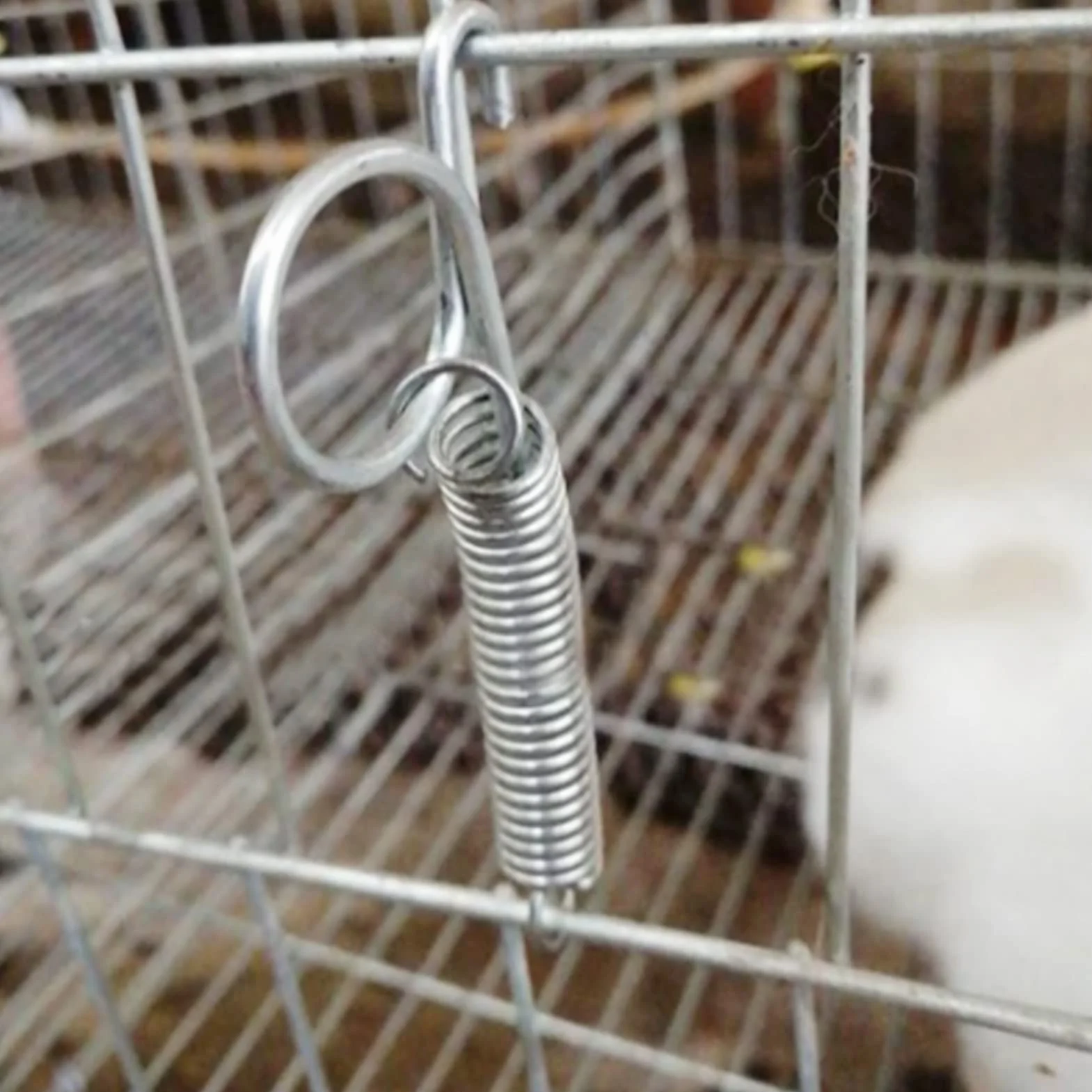 Ganci a Molla Antiruggine 20 Pezzi per Gabbia Conigli Uccelli Polli