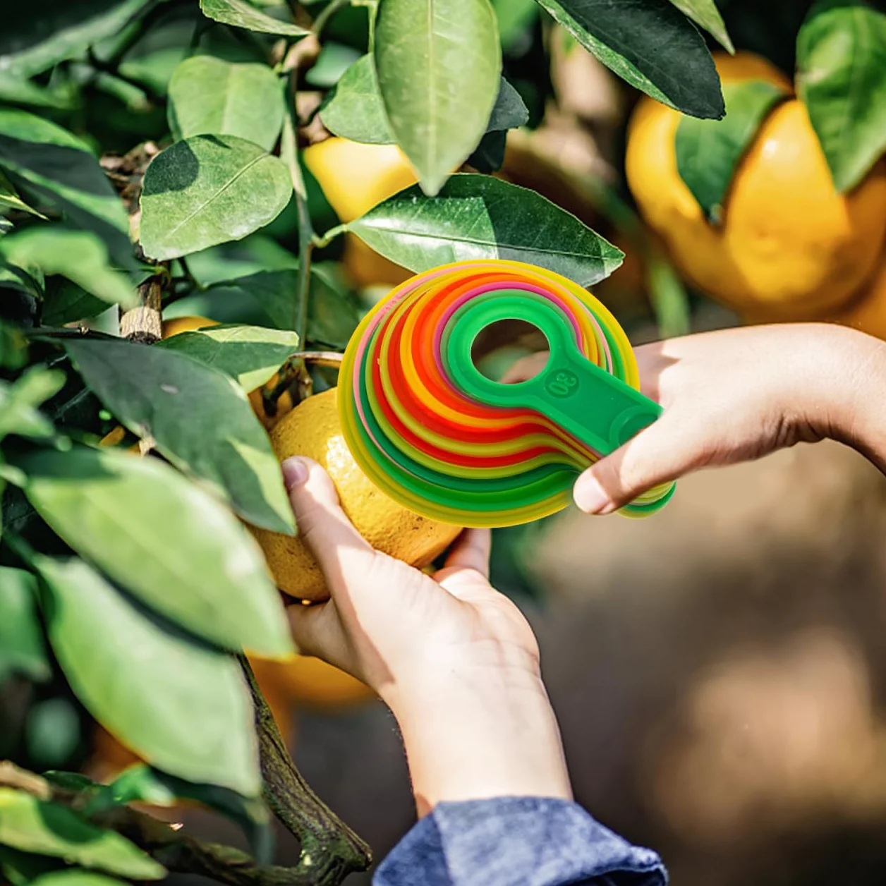 Misuratore Di Diametro Per Calibro Di Misurazione Anello Agrumi Plastica Arancione