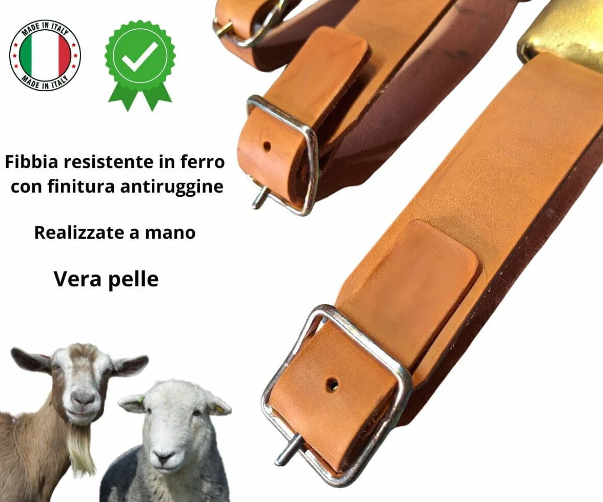 Campanaccio Campana Sarda in Ferro Ottonato con Collare in Cuoio per Pecore e Capre (2)