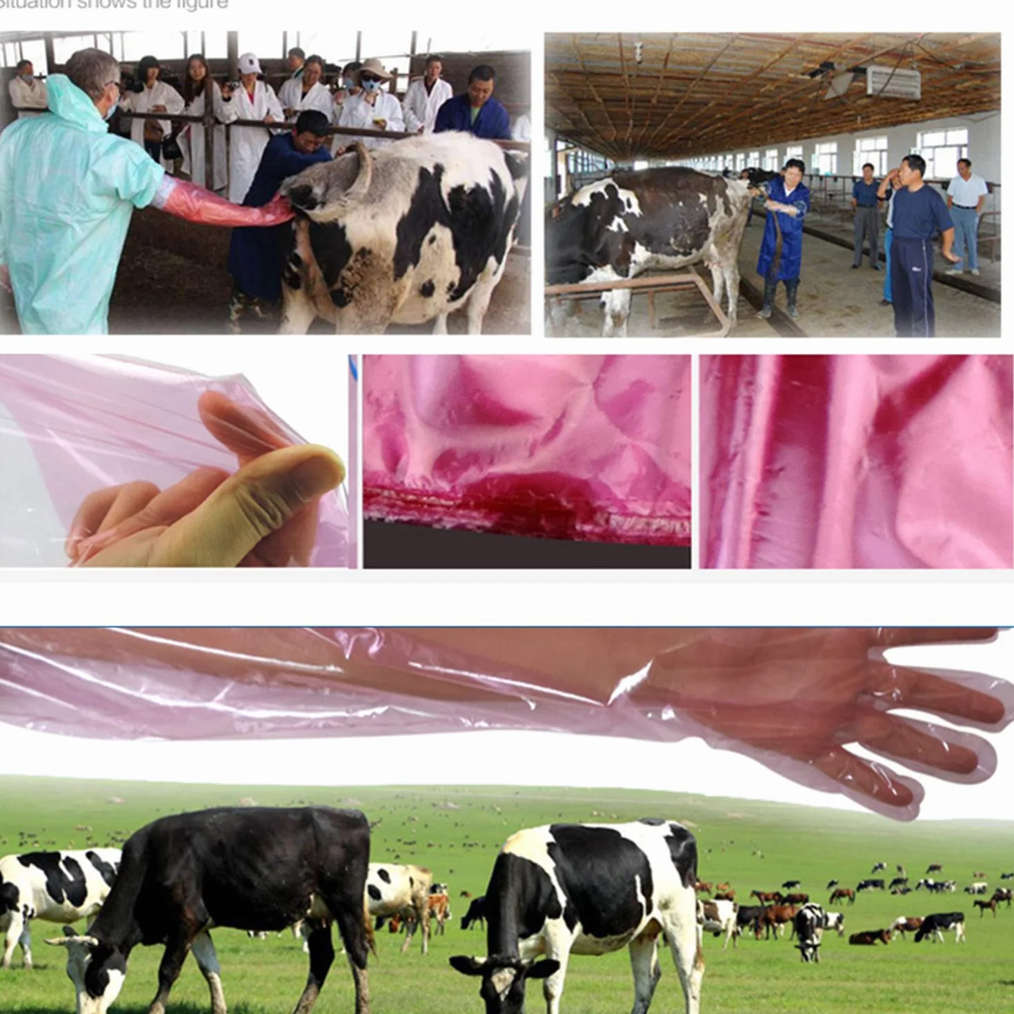 YouU Guanti Monouso a Braccio Lungo 85 cm per Esame Veterinario Rosa 10 Pezzi